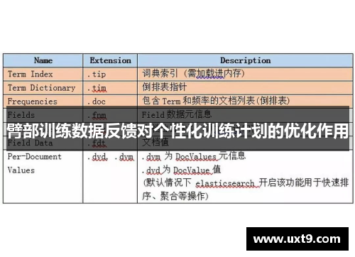 臂部训练数据反馈对个性化训练计划的优化作用